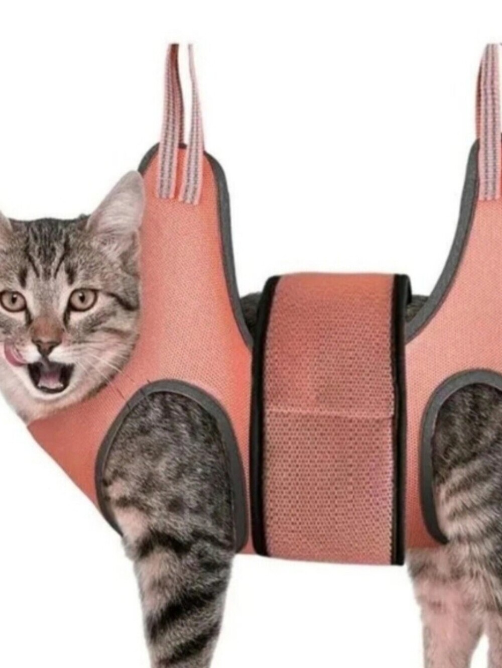 Cat Nail Clipper - Brown